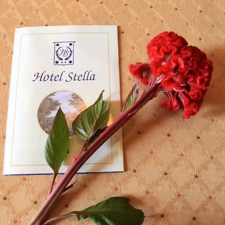 Hotel Stella Rom